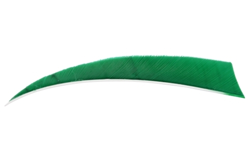 Natuur kalkoen  Veren 4" RW uni Shield Groen - afb. 1