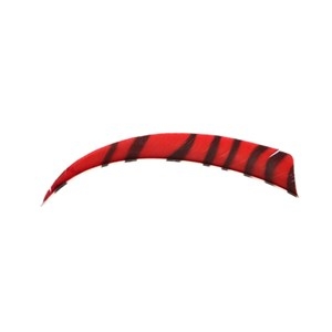 Natuur kalkoen  Veren 4" RW Zebra Shield Rood - afb. 1