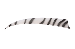 Natuur kalkoen  Veren 4" RW Zebra Shield Wit