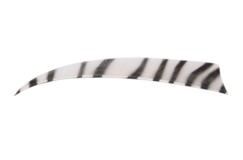 Natuur kalkoen  Veren 4" RW Zebra Shield Wit - afb. 1