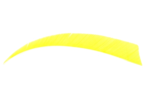Natuur kalkoen  Veren 5" RW uni Shield FL. Geel - afb. 1