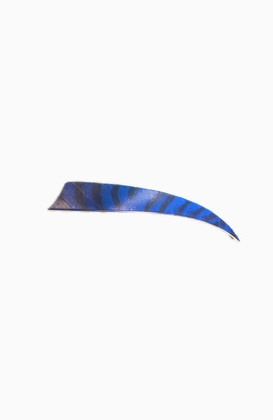 Natuur kalkoen  Veren 5" RW zebra Shield  Blauw - afb. 1