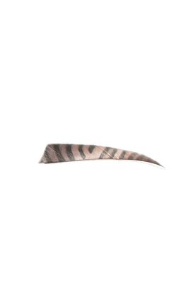 Natuur kalkoen  Veren 5" RW zebra Shield  Bruin - afb. 1