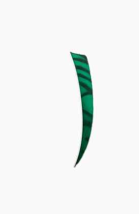 Natuur kalkoen  Veren 5" RW zebra Shield  Groen - afb. 1