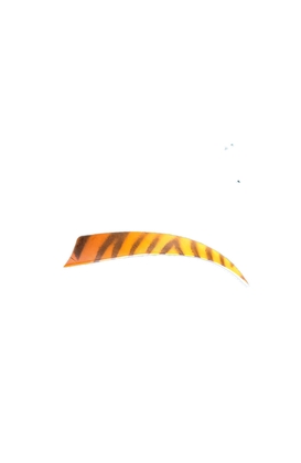 Natuur kalkoen  Veren 5" RW zebra Shield  Oranje - afb. 1