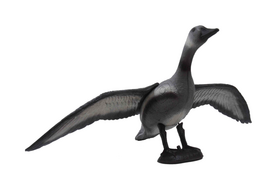  Vliegende Gans