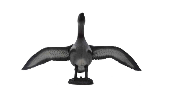  Vliegende Gans - afb. 2