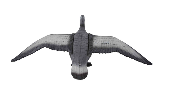  Vliegende Gans - afb. 3