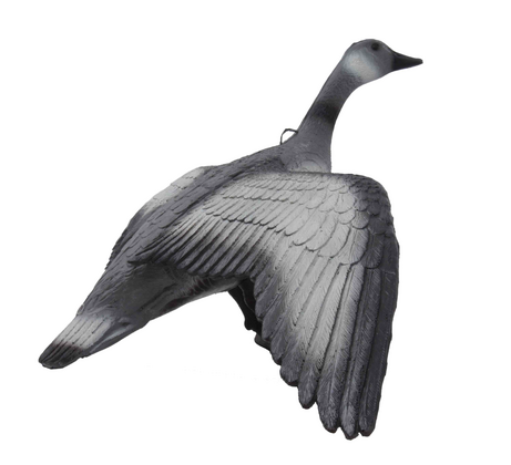  Vliegende Gans - afb. 4