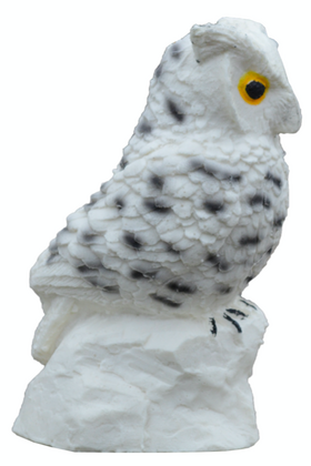 IBB uiltje  (klein) Sneeuw uil - afb. 2