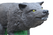IBB Wolf Cat.2 Wolf - afb. 5