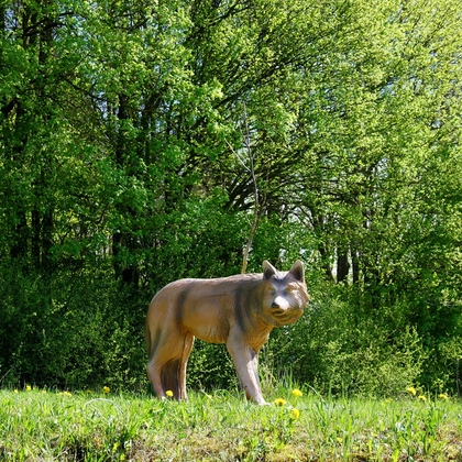 Timber Wolf - afb. 3