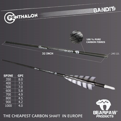 Carbon Schacht Bandit  - afb. 2
