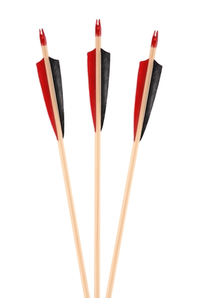 .Raven Rock Spruce Pijl 11/32 60 - 65  standaard pijl 7. Prijs per stuk - afb. 1