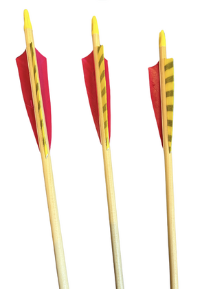 .Raven Rock Spruce Pijl 11/32 60 - 65  standaard pijl 7. Prijs per stuk - afb. 1