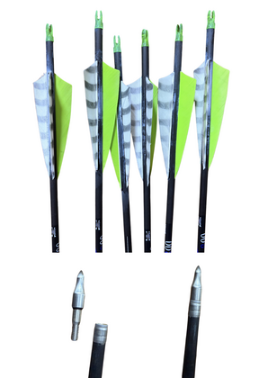 Bodnik Carbon pijl Marauder 12 stuks Spine 800  - afb. 1
