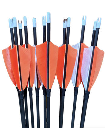 Bodnik barracuda Bandit 12x 1500-2000 spine, - afb. 1
